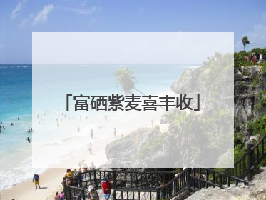 富硒紫麦喜丰收