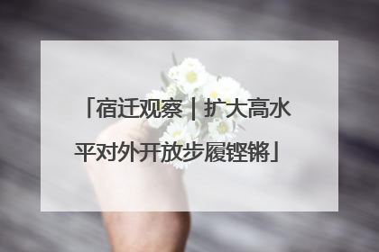 宿迁观察｜扩大高水平对外开放步履铿锵