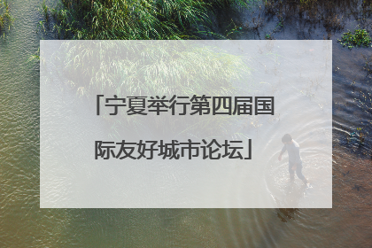 宁夏举行第四届国际友好城市论坛