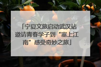 宁夏文旅启动武汉站 邀请青春学子到“塞上江南”感受奇妙之旅