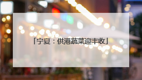 宁夏：供港蔬菜迎丰收