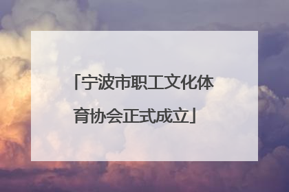 宁波市职工文化体育协会正式成立