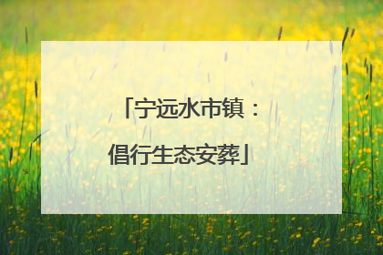 宁远水市镇：倡行生态安葬