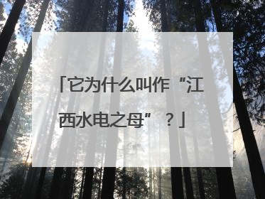 它为什么叫作“江西水电之母”？