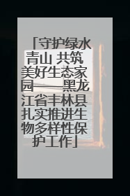 守护绿水青山 共筑美好生态家园——黑龙江省丰林县扎实推进生物多样性保护工作