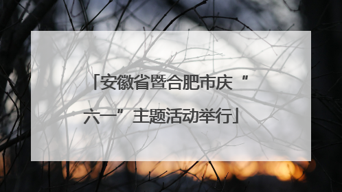安徽省暨合肥市庆“六一”主题活动举行