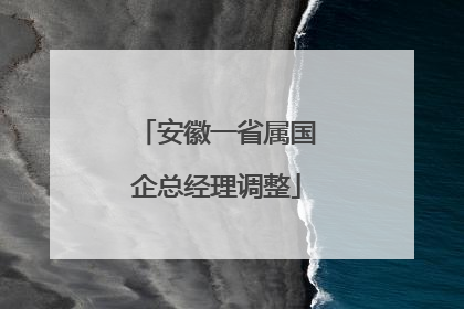 安徽一省属国企总经理调整