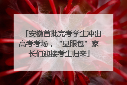 安徽首批完考学生冲出高考考场，“显眼包”家长们迎接考生归来