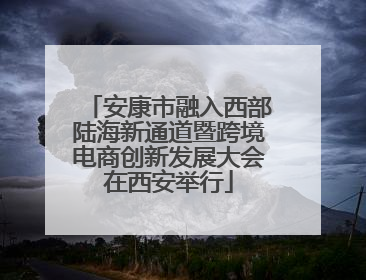 安康市融入西部陆海新通道暨跨境电商创新发展大会在西安举行