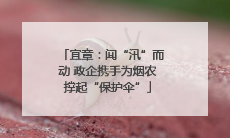 宜章：闻“汛”而动 政企携手为烟农撑起“保护伞”