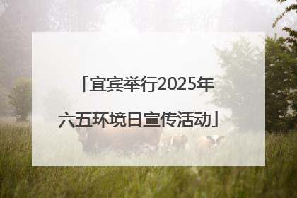 宜宾举行2025年六五环境日宣传活动