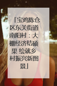 宝鸡陈仓区东关街道南阳村：大棚经济结硕果 绘就乡村振兴新图景