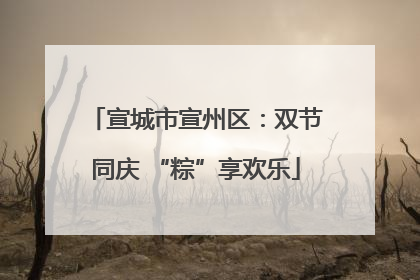 宣城市宣州区：双节同庆 “粽”享欢乐