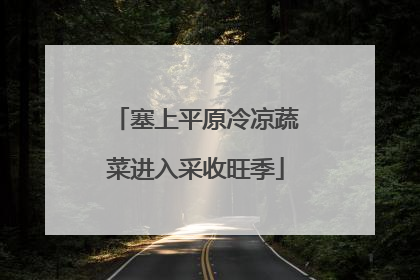 塞上平原冷凉蔬菜进入采收旺季