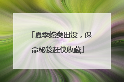 夏季蛇类出没，保命秘笈赶快收藏