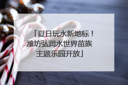 夏日玩水新地标！潍坊弘润水世界苗族主题乐园开放