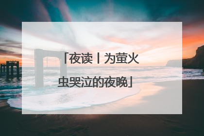 夜读丨为萤火虫哭泣的夜晚