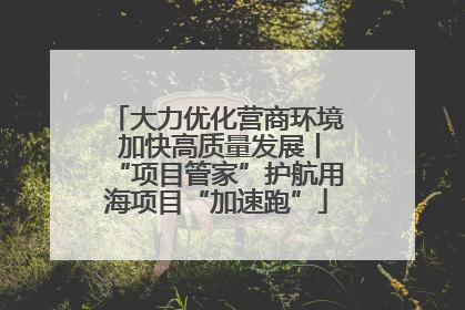 大力优化营商环境 加快高质量发展丨“项目管家”护航用海项目“加速跑”