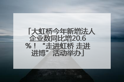 大虹桥今年新增法人企业数同比增20.6%！“走进虹桥 走进进博”活动举办