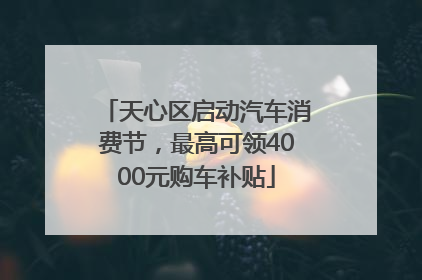 天心区启动汽车消费节，最高可领4000元购车补贴