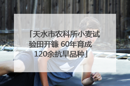 天水市农科所小麦试验田开镰 60年育成120余抗旱品种