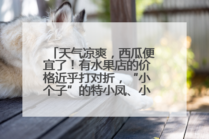 天气凉爽，西瓜便宜了！有水果店的价格近乎打对折，“小个子”的特小凤、小糖丸更好卖
