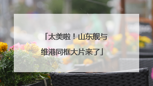 太美啦！山东舰与维港同框大片来了