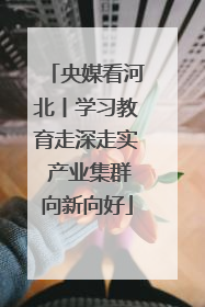 央媒看河北丨学习教育走深走实 产业集群向新向好