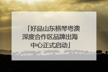 好品山东横琴粤澳深度合作区品牌出海中心正式启动