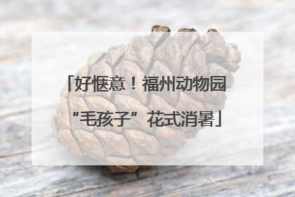 好惬意！福州动物园“毛孩子”花式消暑