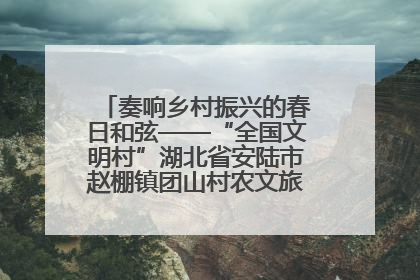 奏响乡村振兴的春日和弦——“全国文明村”湖北省安陆市赵棚镇团山村农文旅融合发展见闻
