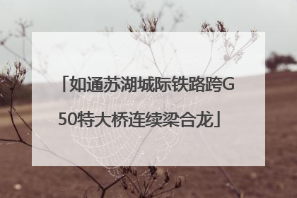 如通苏湖城际铁路跨G50特大桥连续梁合龙