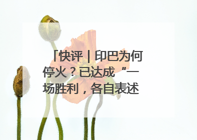 快评｜印巴为何停火？已达成“一场胜利，各自表述”的效果
