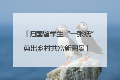 归国留学生“一张纸”剪出乡村共富新图景