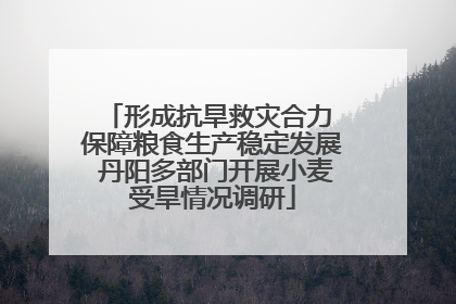 形成抗旱救灾合力 保障粮食生产稳定发展 丹阳多部门开展小麦受旱情况调研