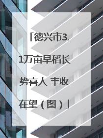 德兴市3.1万亩早稻长势喜人 丰收在望（图）