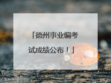 德州事业编考试成绩公布！