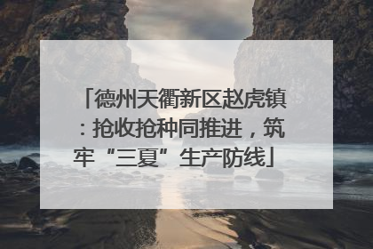 德州天衢新区赵虎镇：抢收抢种同推进，筑牢“三夏”生产防线