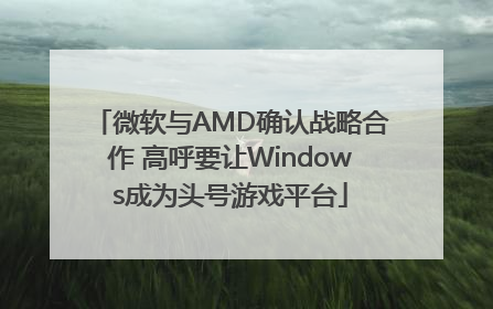 微软与AMD确认战略合作 高呼要让Windows成为头号游戏平台