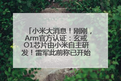 小米大消息！刚刚，Arm官方认证：玄戒O1芯片由小米自主研发！雷军此前称已开始大规模量产
