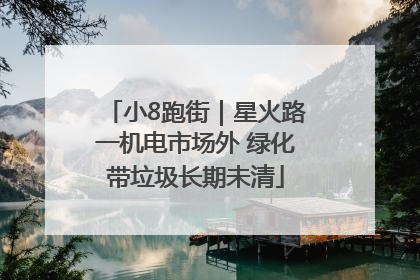 小8跑街｜星火路一机电市场外 绿化带垃圾长期未清