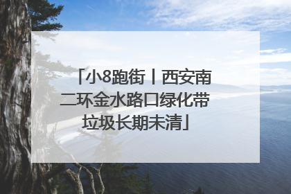 小8跑街丨西安南二环金水路口绿化带垃圾长期未清