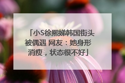 小S徐熙娣韩国街头被偶遇 网友：她身形消瘦，状态很不好
