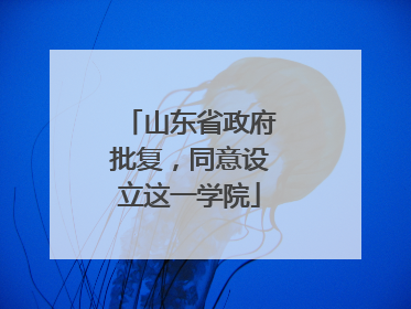 山东省政府批复，同意设立这一学院