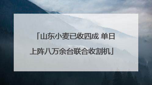 山东小麦已收四成 单日上阵八万余台联合收割机