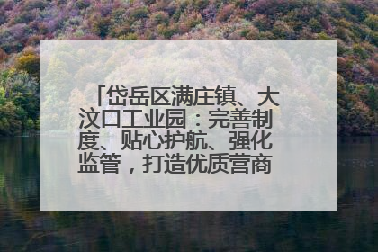 岱岳区满庄镇、大汶口工业园：完善制度、贴心护航、强化监管，打造优质营商“强磁场”