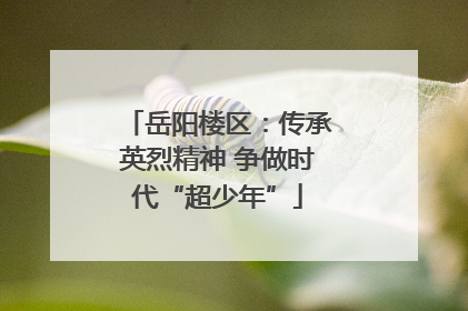 岳阳楼区：传承英烈精神 争做时代“超少年”