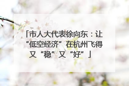 市人大代表徐向东：让“低空经济”在杭州飞得又“稳”又“好”