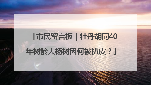 市民留言板｜牡丹胡同40年树龄大杨树因何被扒皮？