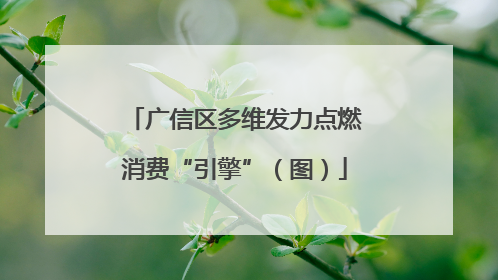 广信区多维发力点燃消费“引擎”（图）
